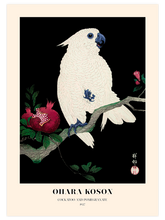 Ohara Koson Cockatoo and Pomegranate - Art Print